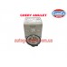 Термостат 87C Chery Amulet EuroEX