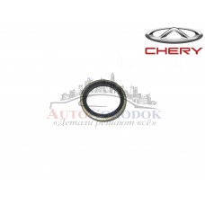 Шайба болта ГУР Chery Amulet/S12/S11/T11