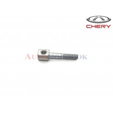 Болт ГУРа (оригинал) Chery Amulet