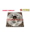 Диск тормозной передний Chery Amulet FITSHI