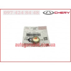 Заглушка ГБЦ D=18мм (оригинал) Chery Amulet