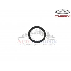 Кольцо уплотнительное термостата 27x3 (кольцо) Chery Jaggi/S12/A21/A13/S18/Vida/FL