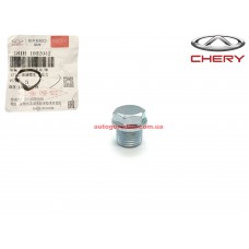 Пробка поддона сливная (Acteco) (оригинал) Chery