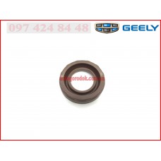 Уплотнитель свечного колодца Geely MK/CK/GC6